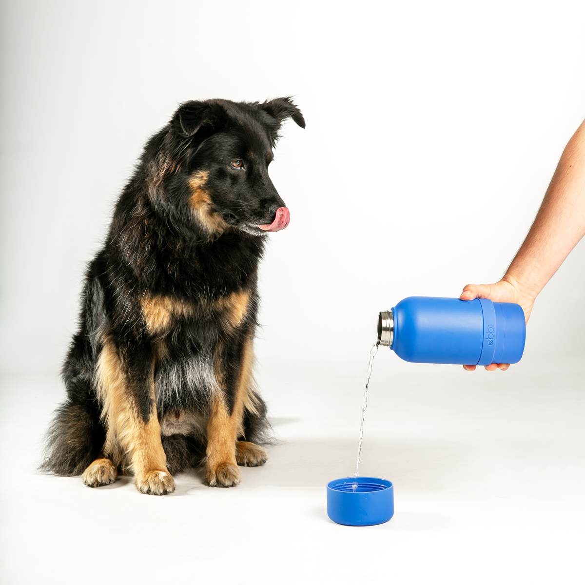 Blue Pup + Me Water Bottle
