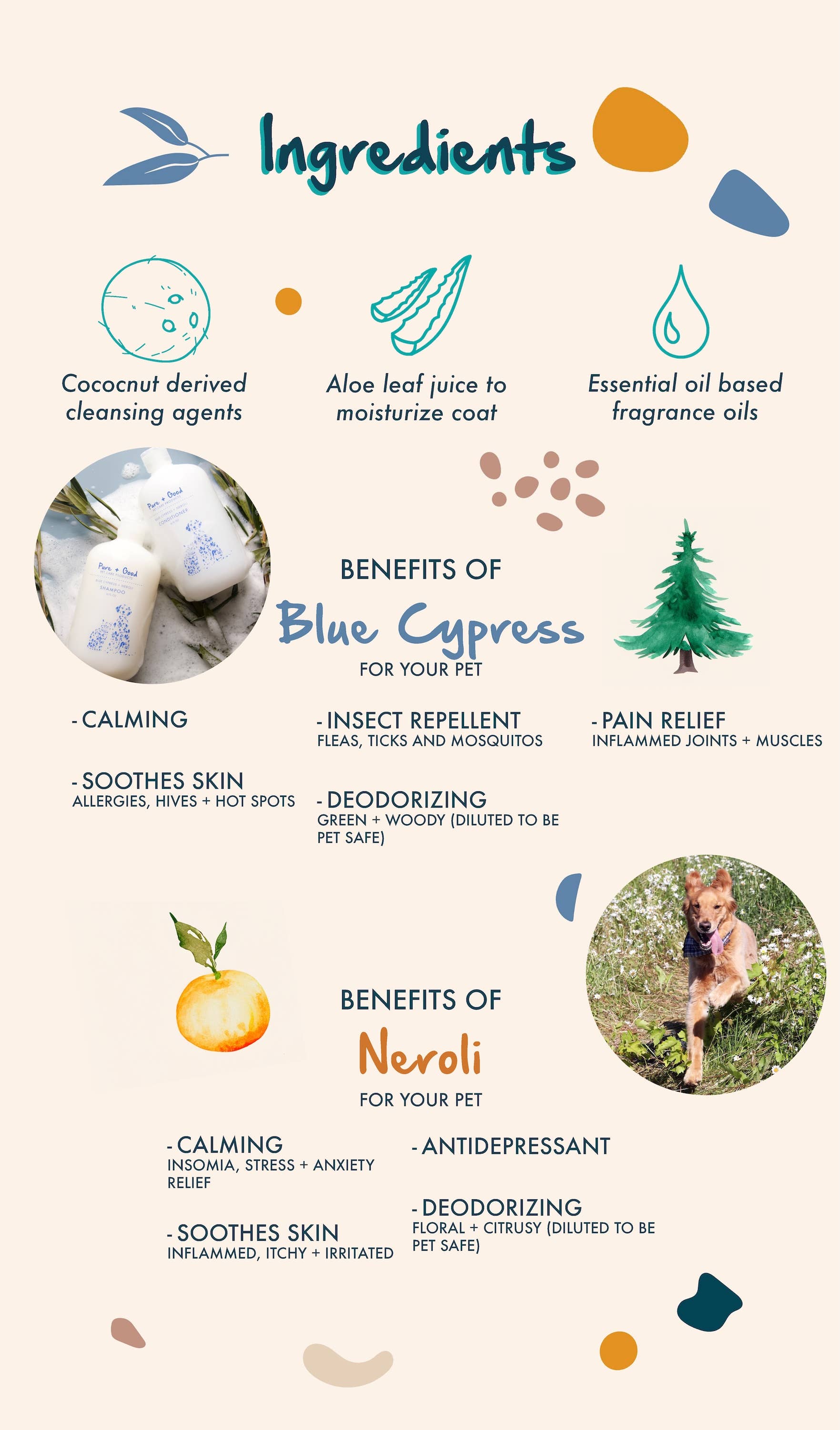 Dog & Cat Shampoo: Blue Cypress + Neroli