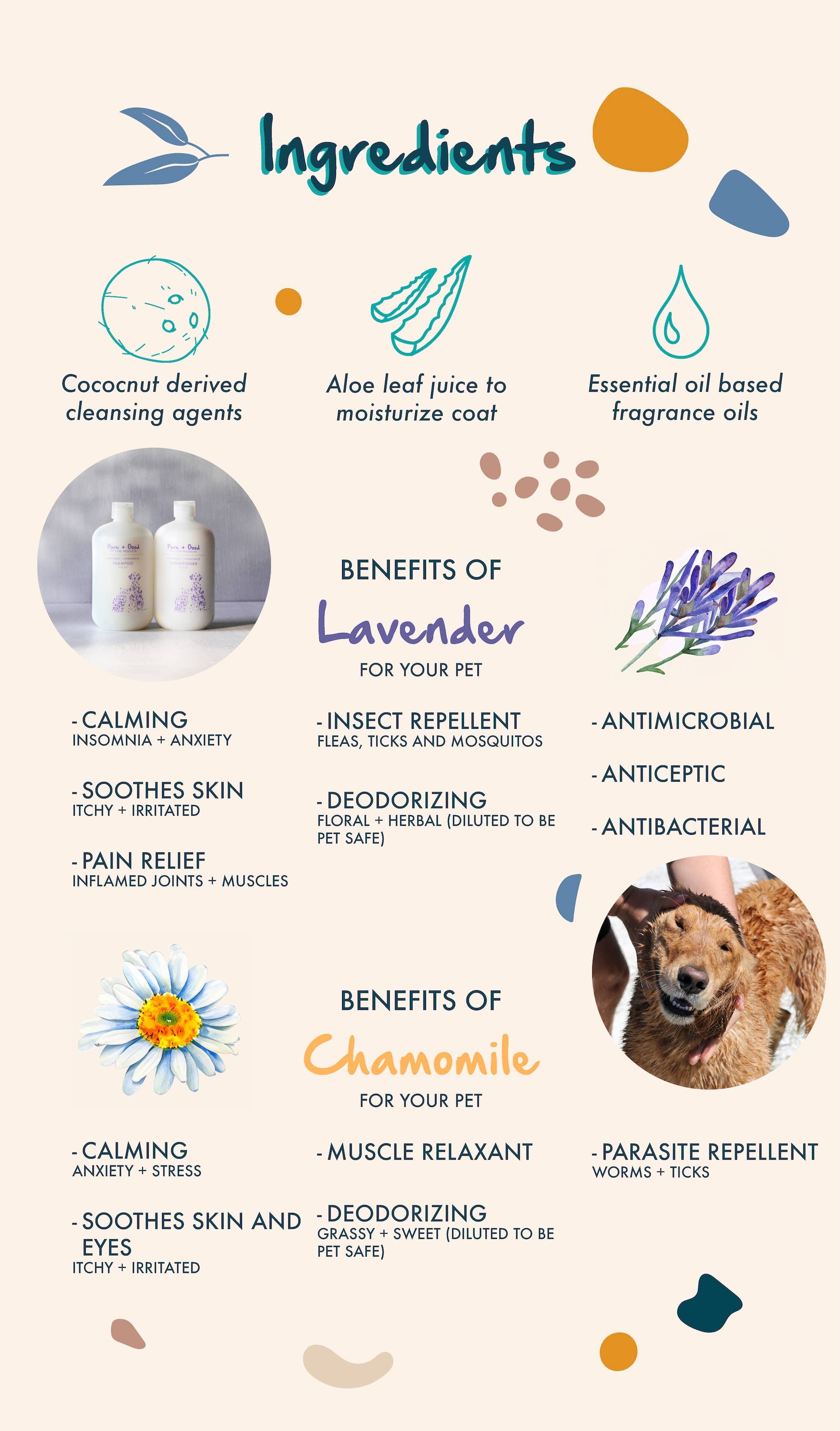Dog & Cat Shampoo: Lavender + Chamomile