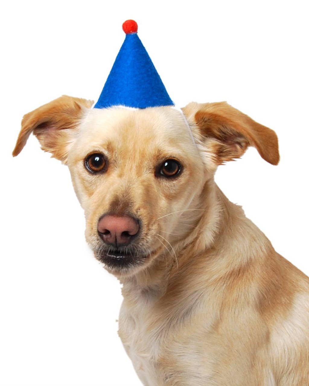 Pompom Party Hat