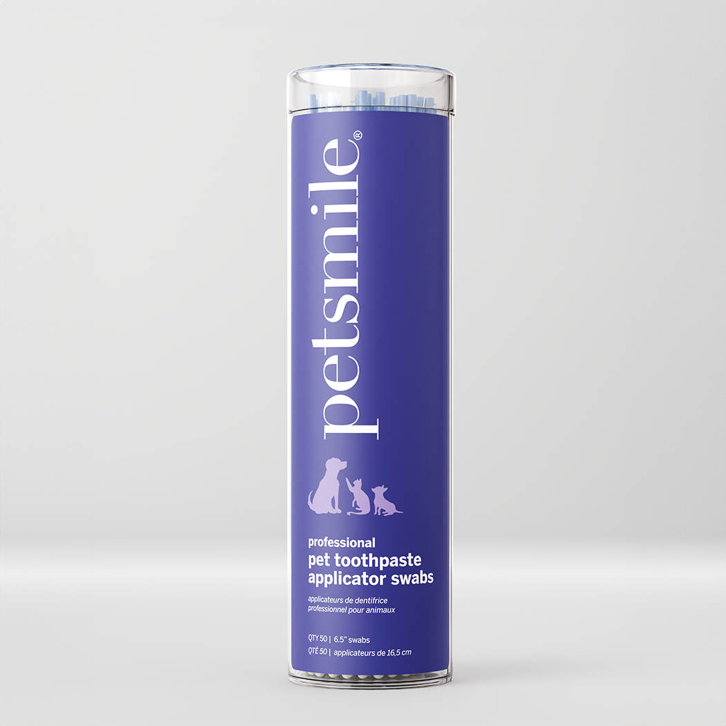 Professional Toothpaste Applicator Swabs