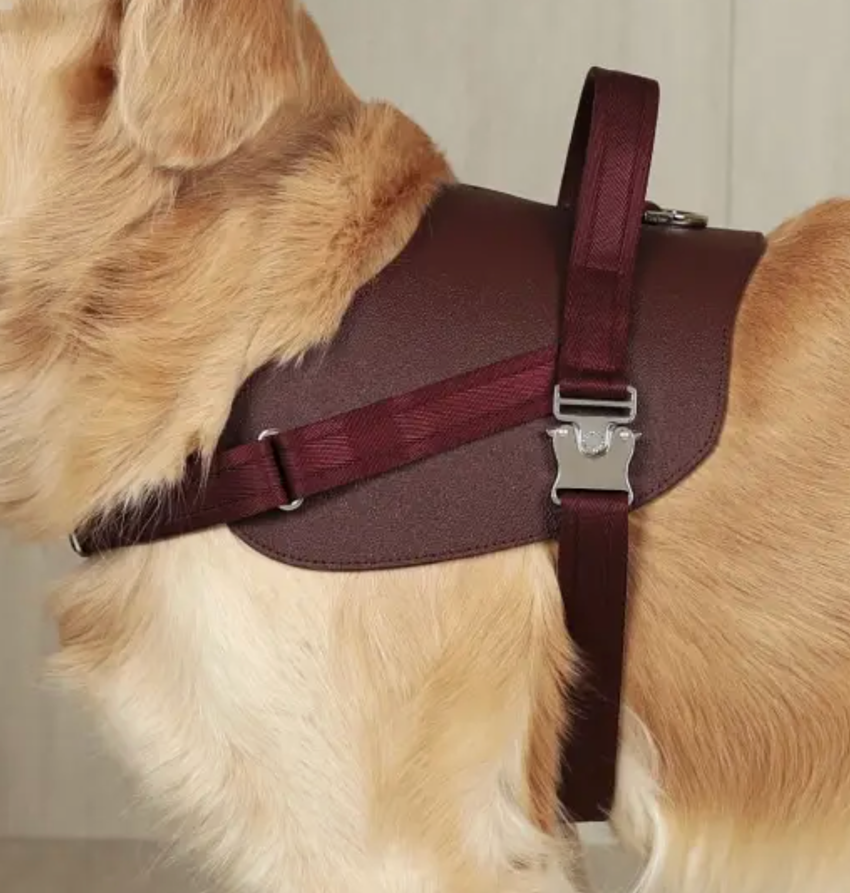 Saddle Harness