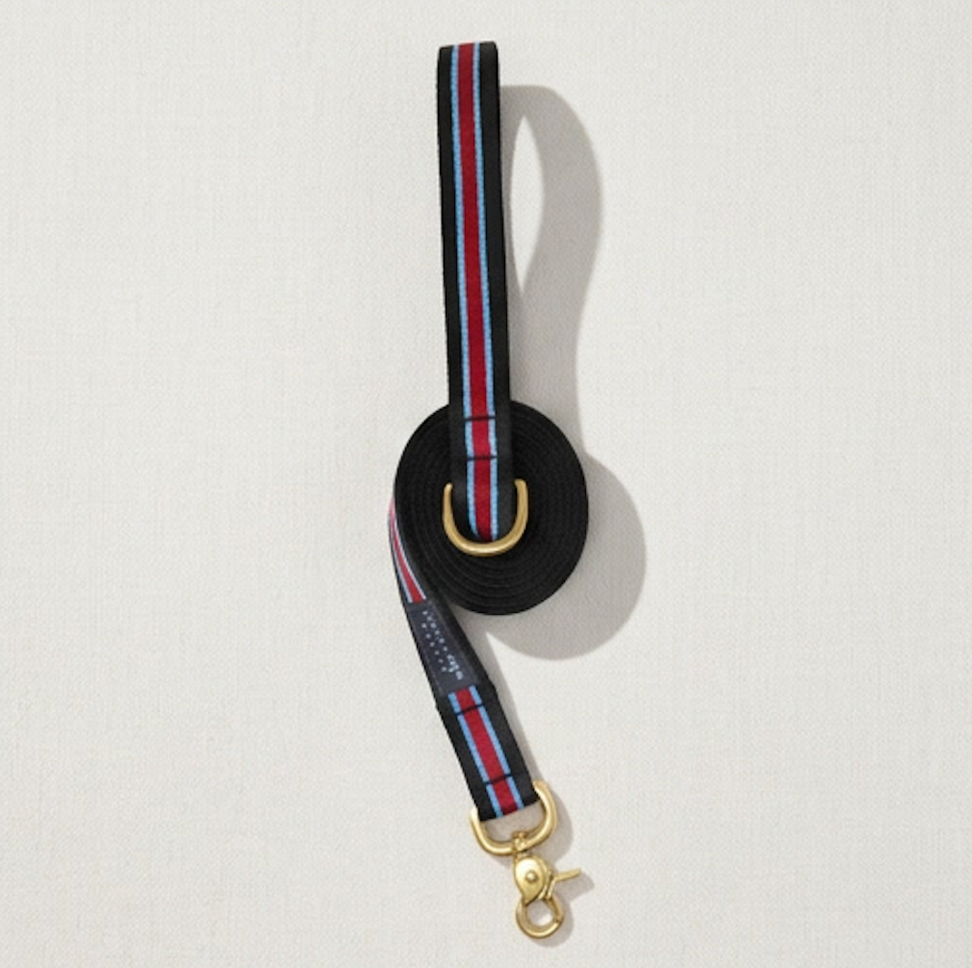 Ivy League Prep Leash