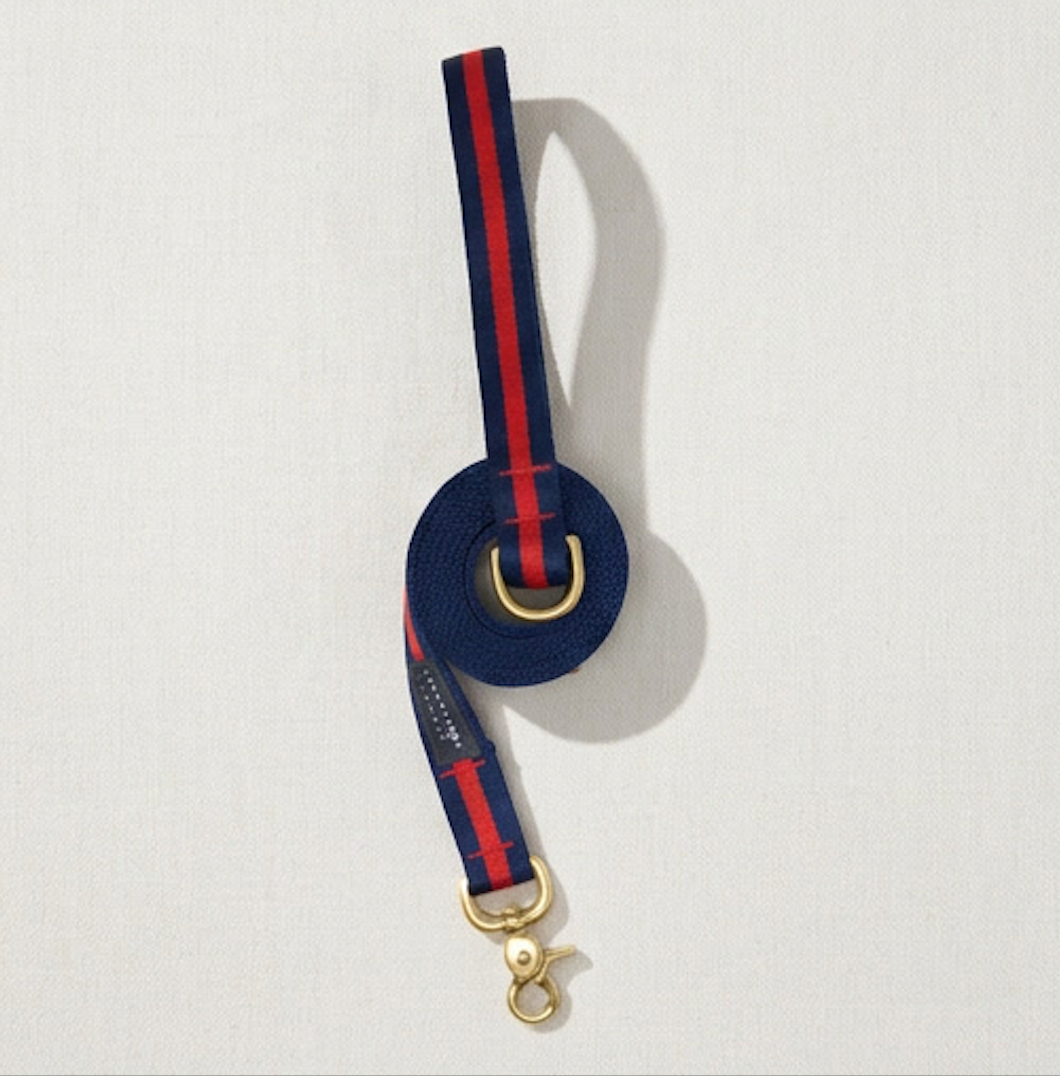 Ivy League Prep Leash