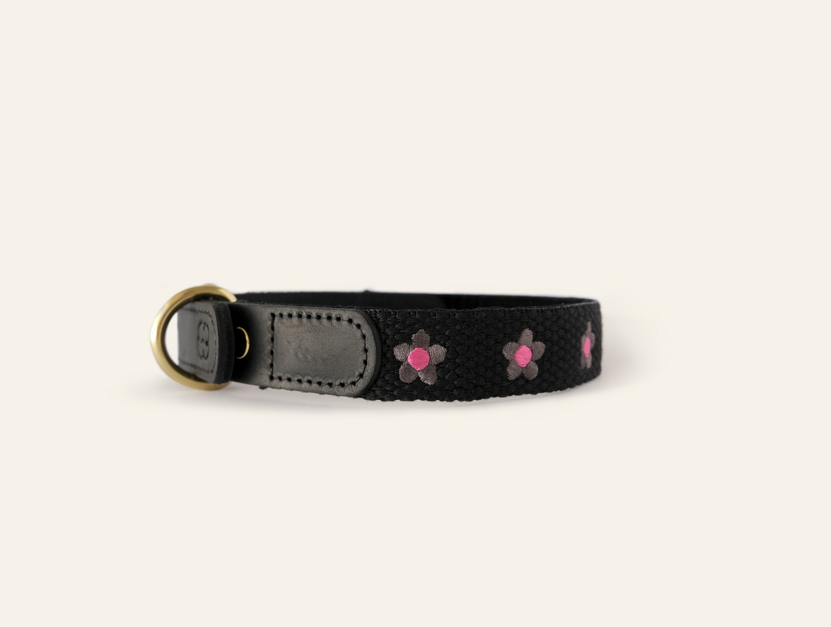 Daisy Leather Dog Collar