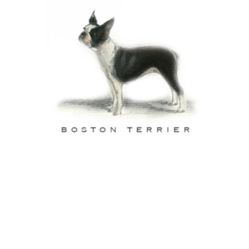 Fable & Sage Note Card Sets - 24 Breeds