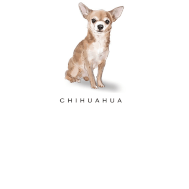 Fable & Sage Note Card Sets - 24 Breeds