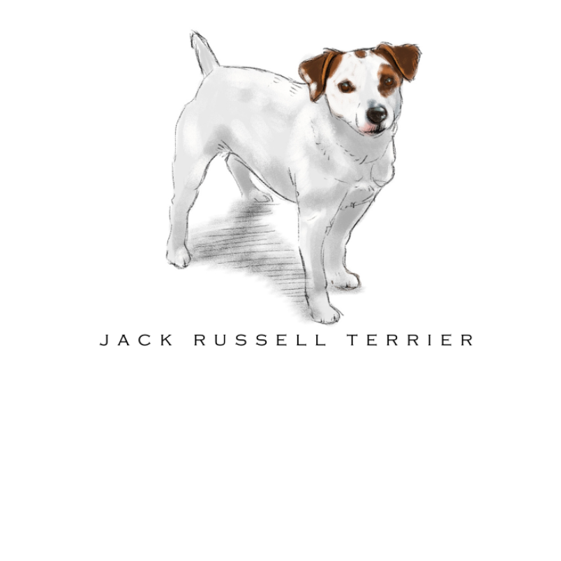 Fable & Sage Note Card Sets - 24 Breeds