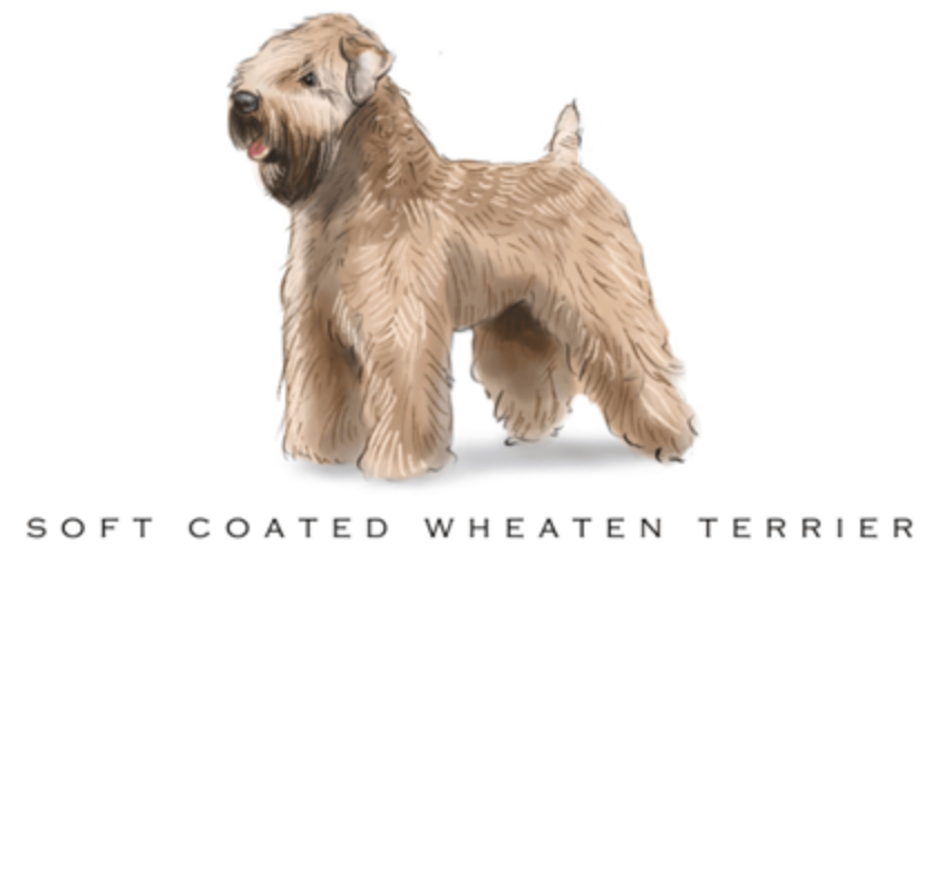 Fable & Sage Note Card Sets - 24 Breeds