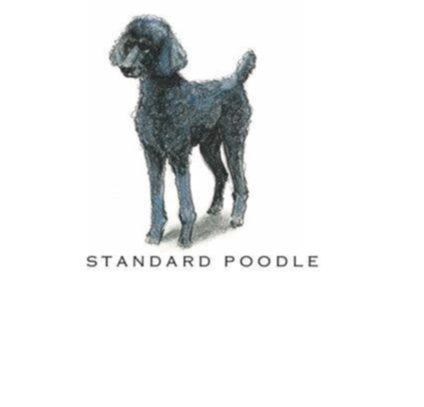 Fable & Sage Note Card Sets - 24 Breeds