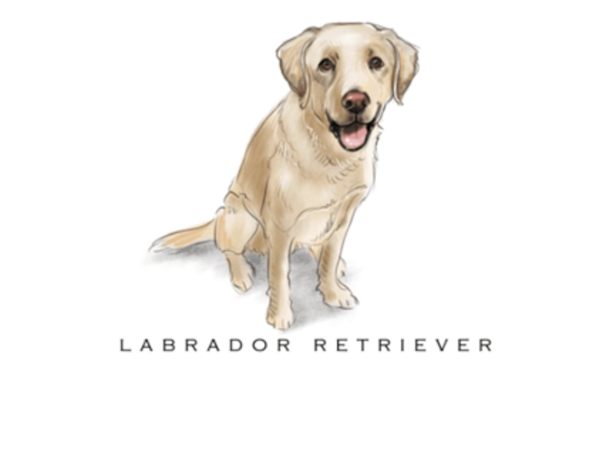 Fable & Sage Note Card Sets - 24 Breeds