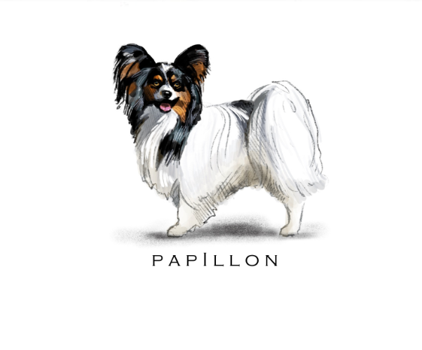 Fable & Sage Note Card Sets - 24 Breeds