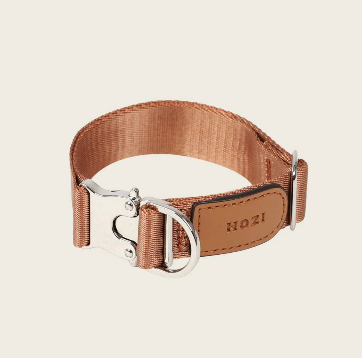 Buckle Strap Collar