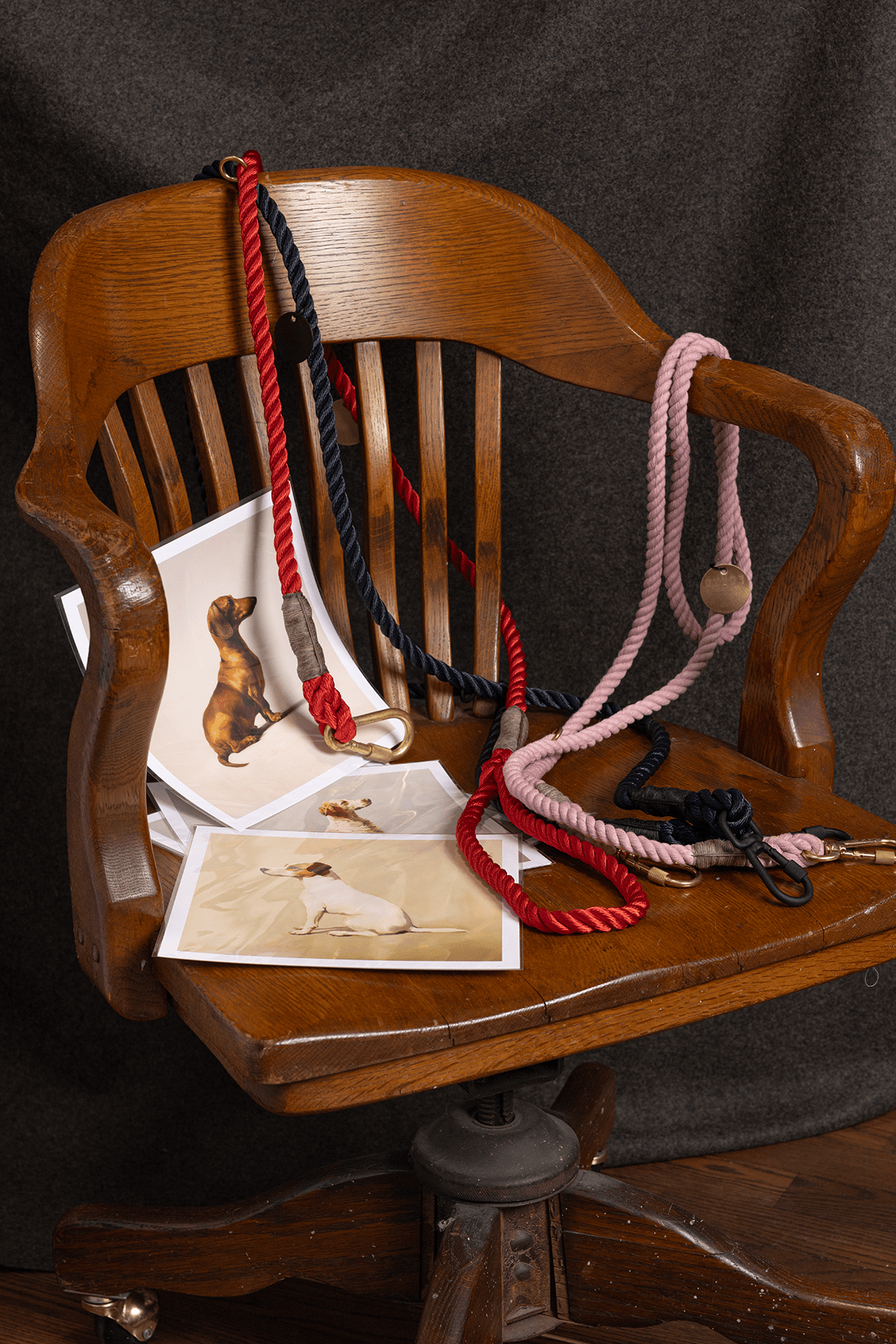 A Seated Red Dachshund Framed Print - THE BOXER