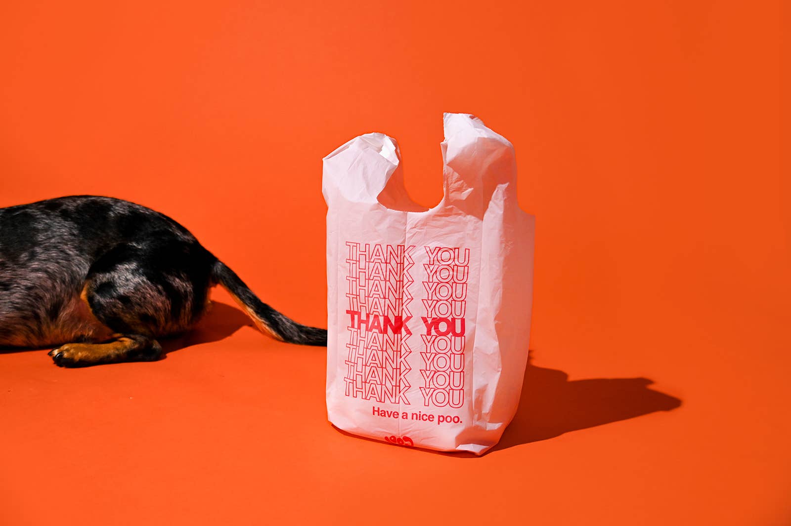 The Thank You Poop Bag