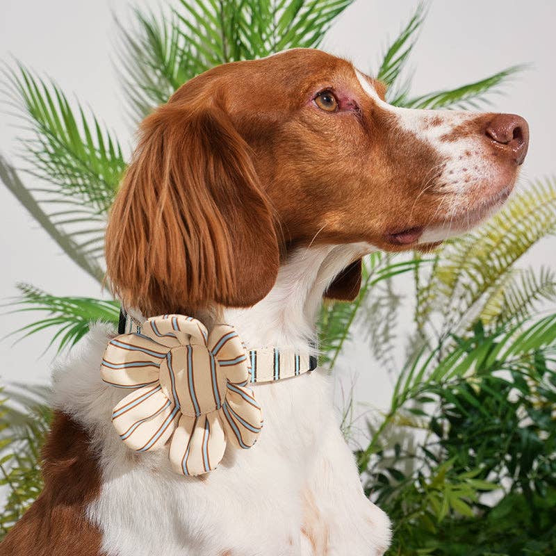 Stripe Daisy Dog Toy