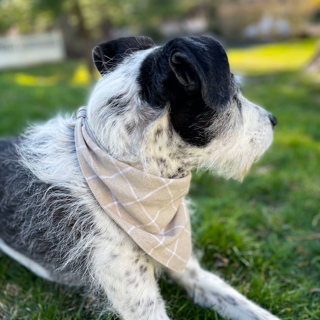 Flax Plaid Linen Dog Bandana - THE BOXER