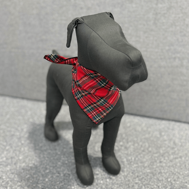 Red Plaid Bandana - THE BOXER