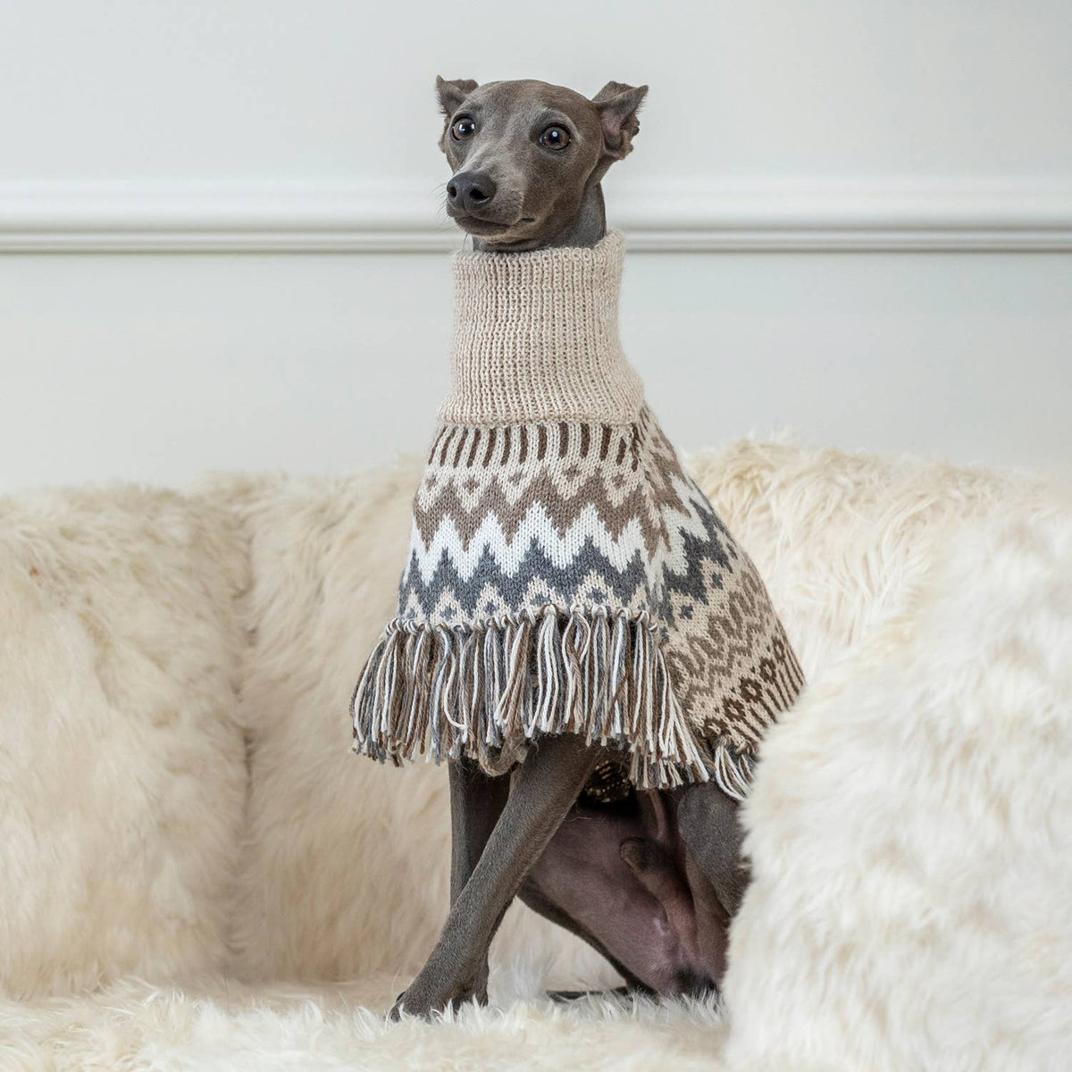Woolly Winter Alpaca Dog Poncho - THE BOXER