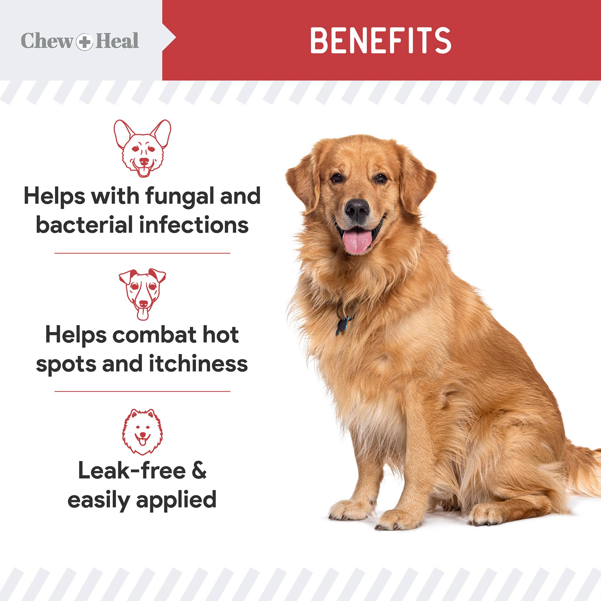 Antibacterial &amp; Antifungal Medicated Wet Wipes for Dogs