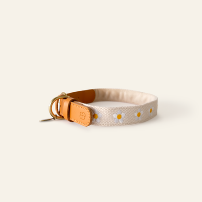 Daisy Leather Dog Collar