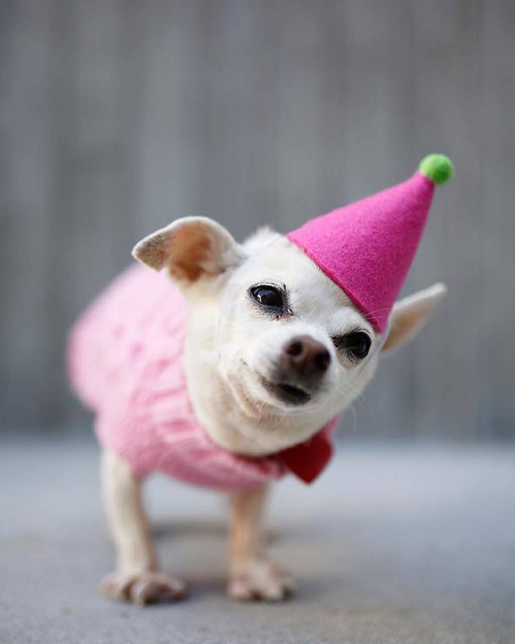 Pompom Party Hat