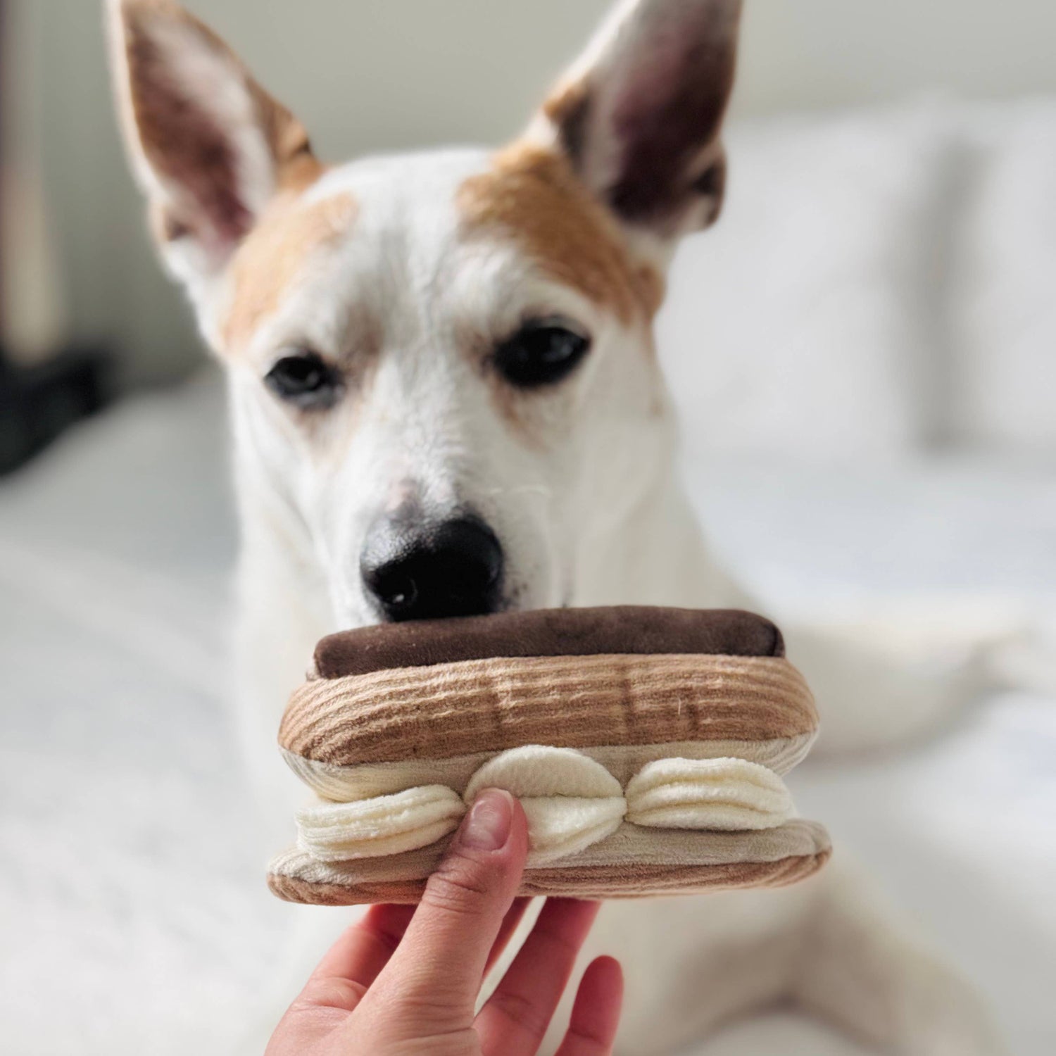 Eclair Enrichment Snuffle Toy