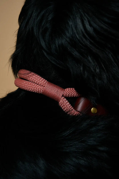 Atelier Markiz Necklace Collar
