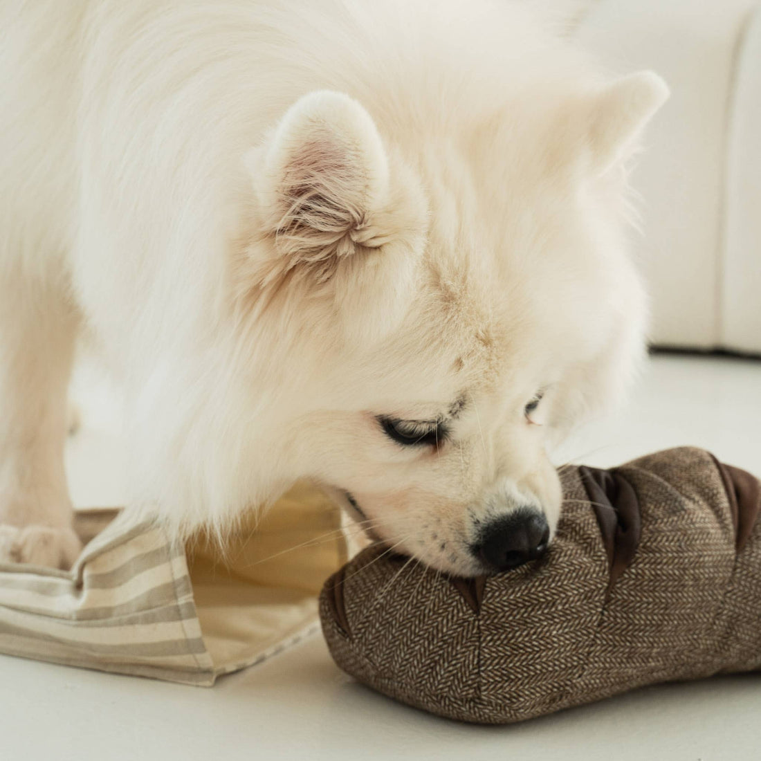 Rye Bread Snuffle Toy