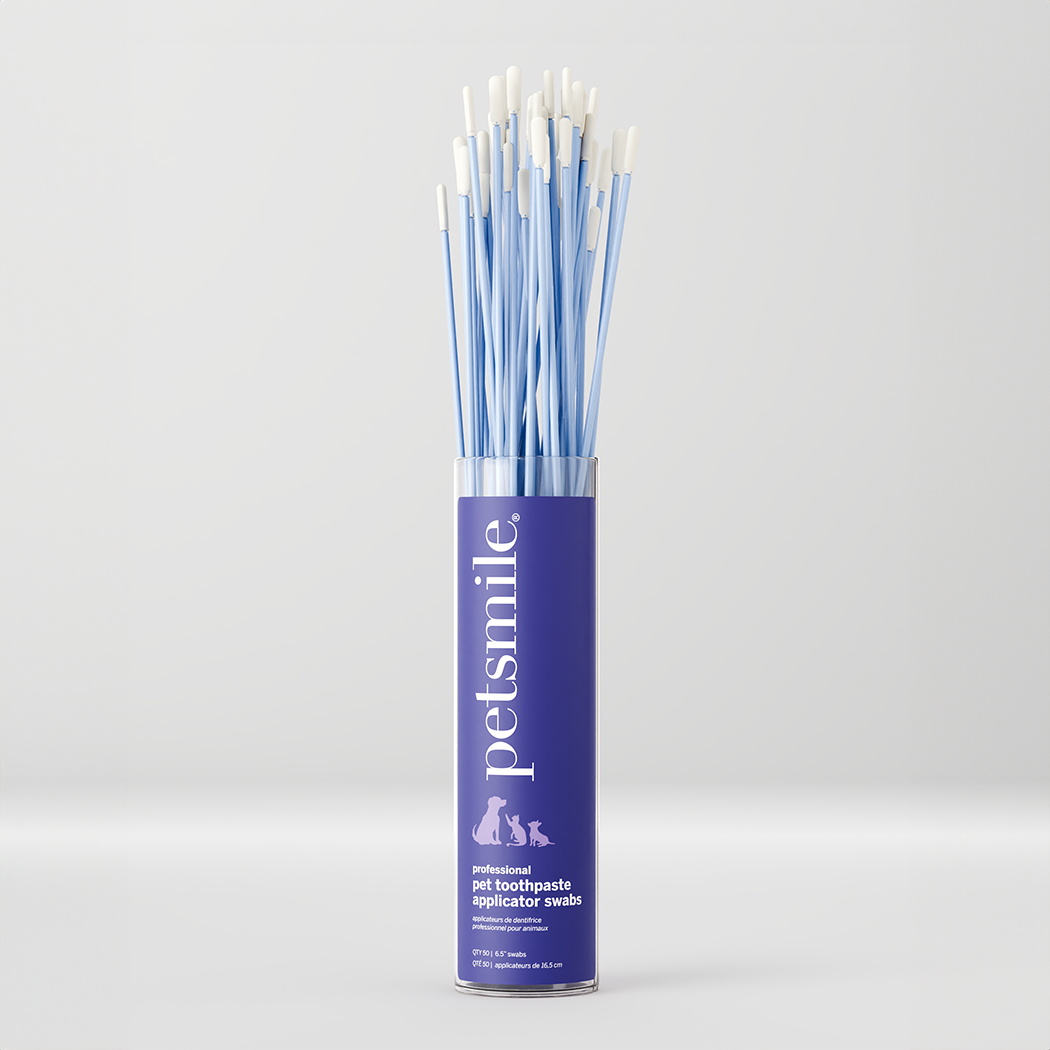 Professional Toothpaste Applicator Swabs