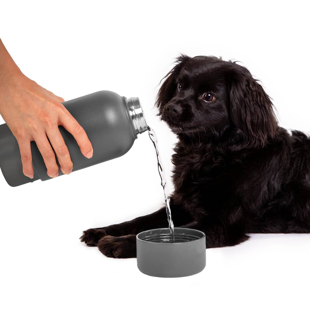 Charcoal Pup + Me Water Bottle