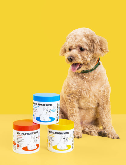 Roofus Dental Wipes | Fragrance Free | 60ct