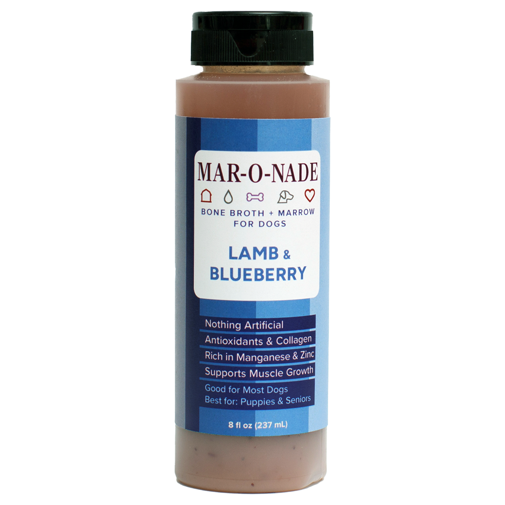 Lamb &amp; Blueberry Bone Broth + Marrow for Dogs
