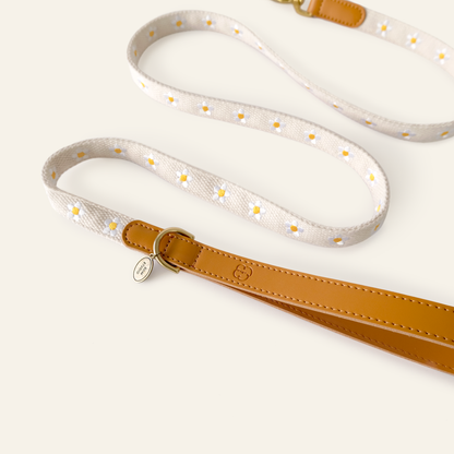 Daisy Leather Dog Leash