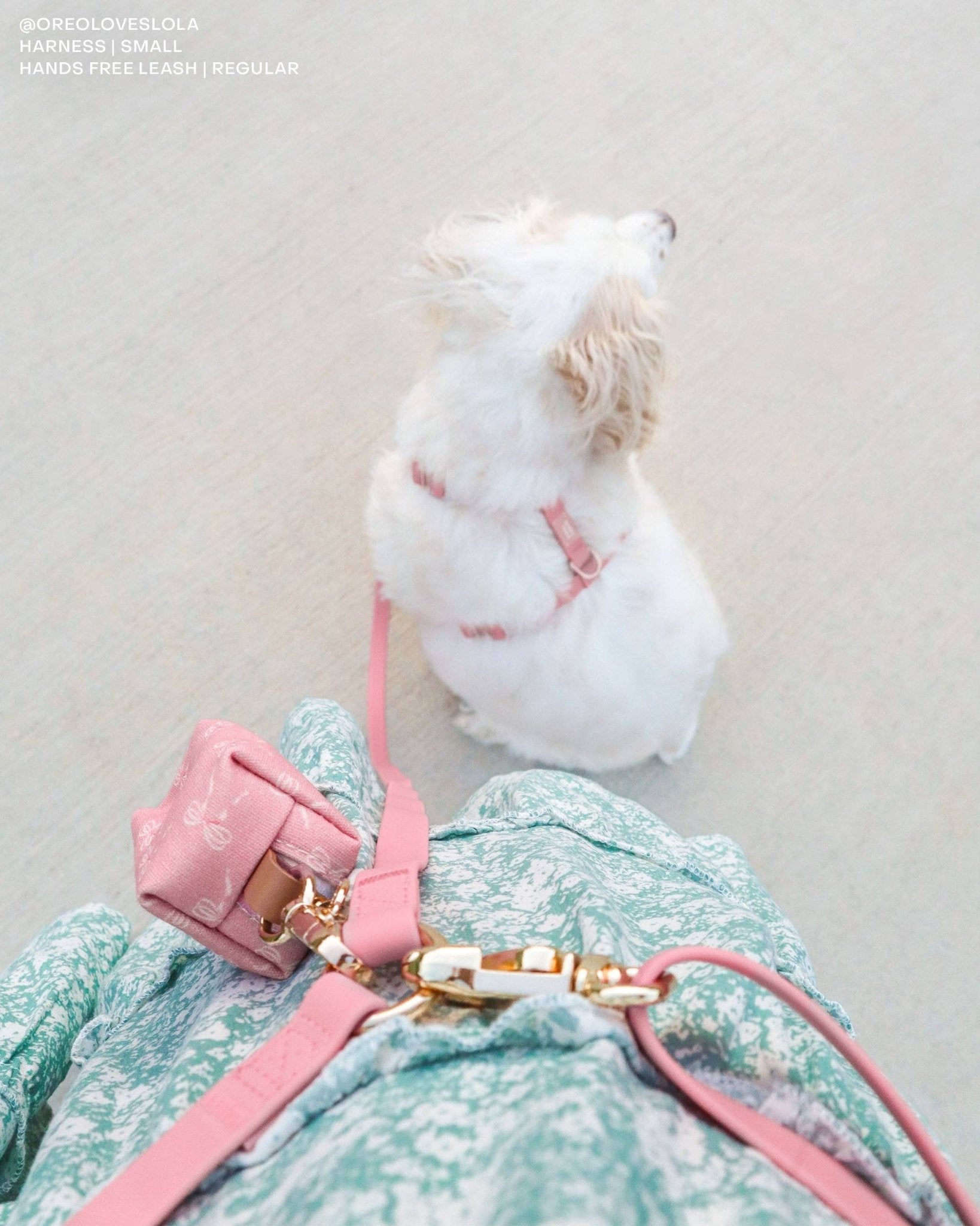 4 - in - 1 Convertible Hands Free Cloud Dog Leash - THE BOXER