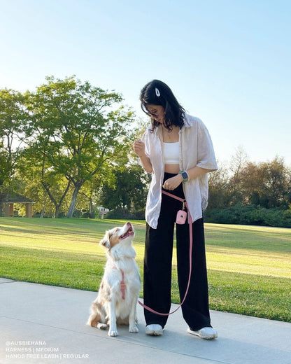 4 - in - 1 Convertible Hands Free Cloud Dog Leash - THE BOXER