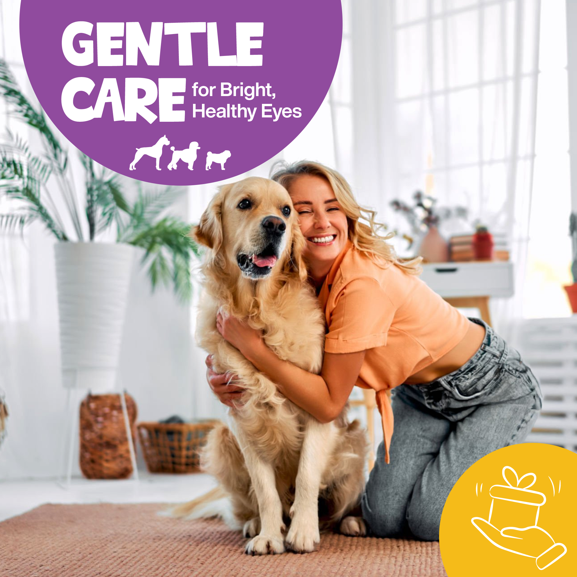 Roofus Dog Eye Wipes | Fragrance Free | 100ct