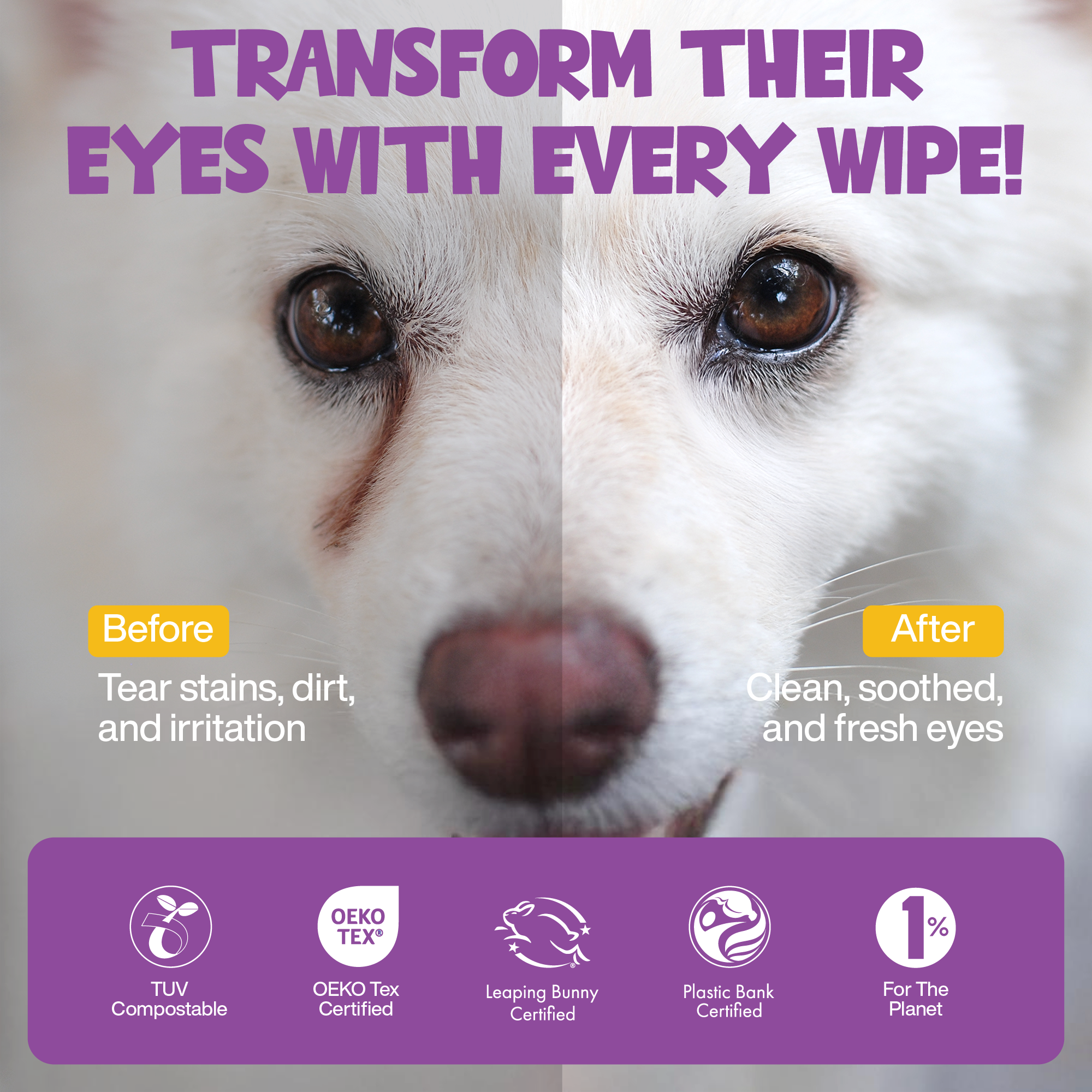Roofus Dog Eye Wipes | Fragrance Free | 100ct