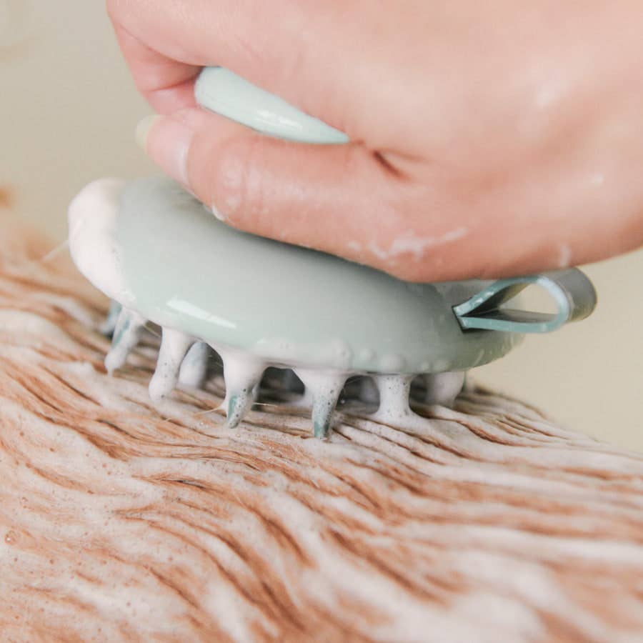 Scrub Brush