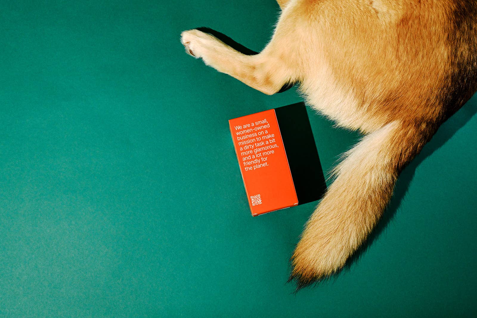 The Thank You Poop Bag