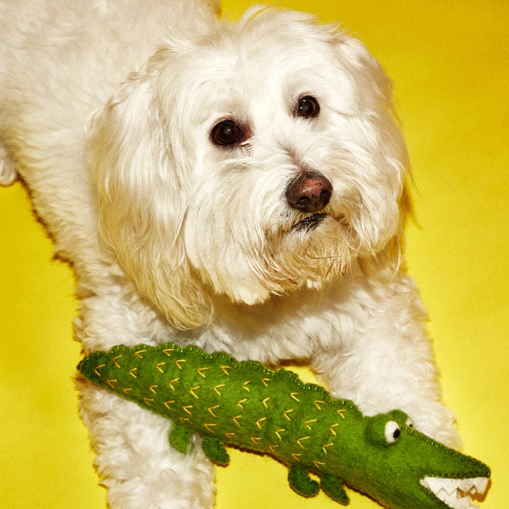 Felted Wool Alligator Dog Toy