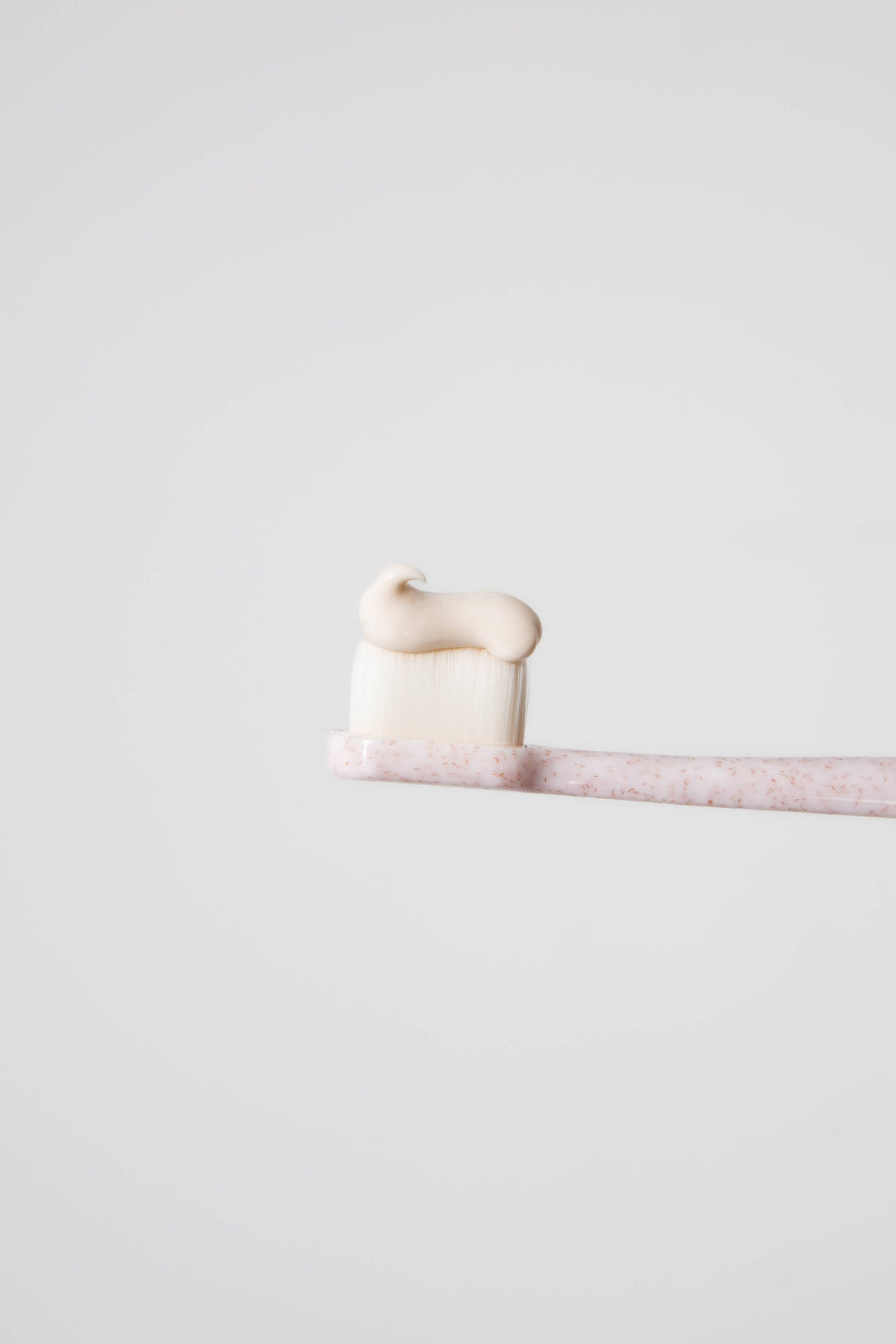 Puppy Polisher Eco Toothbrush