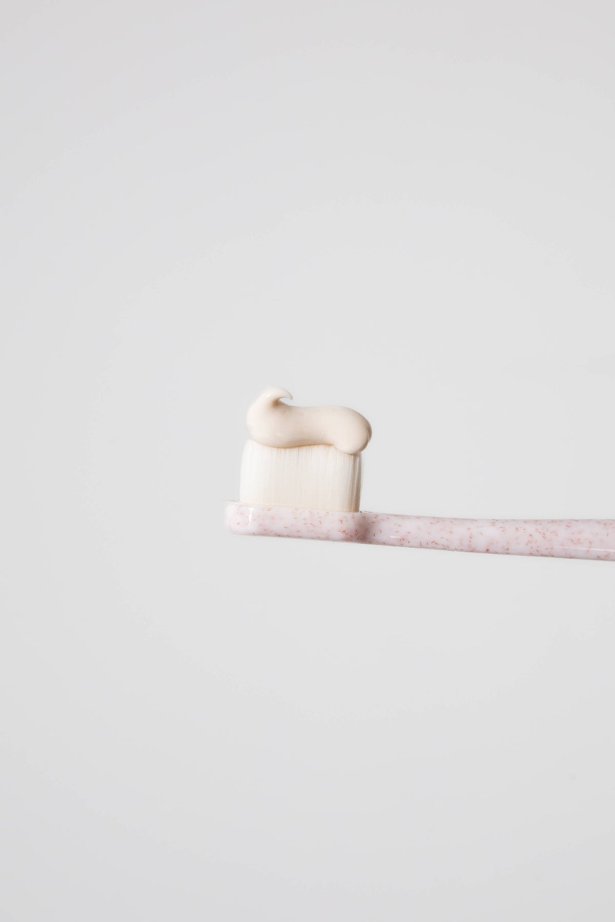 Puppy Polisher Eco Toothbrush