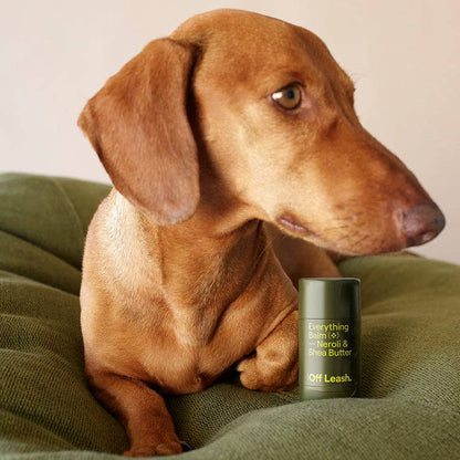 Everything Balm