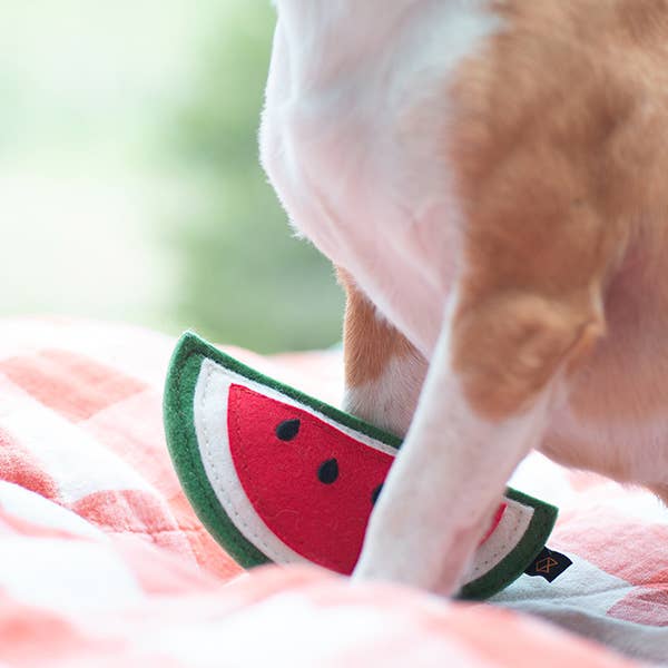 Watermelon Squeaker Dog Toy