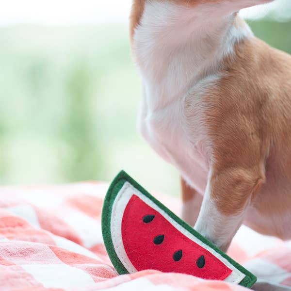 Watermelon Squeaker Dog Toy