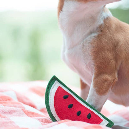Watermelon Squeaker Dog Toy