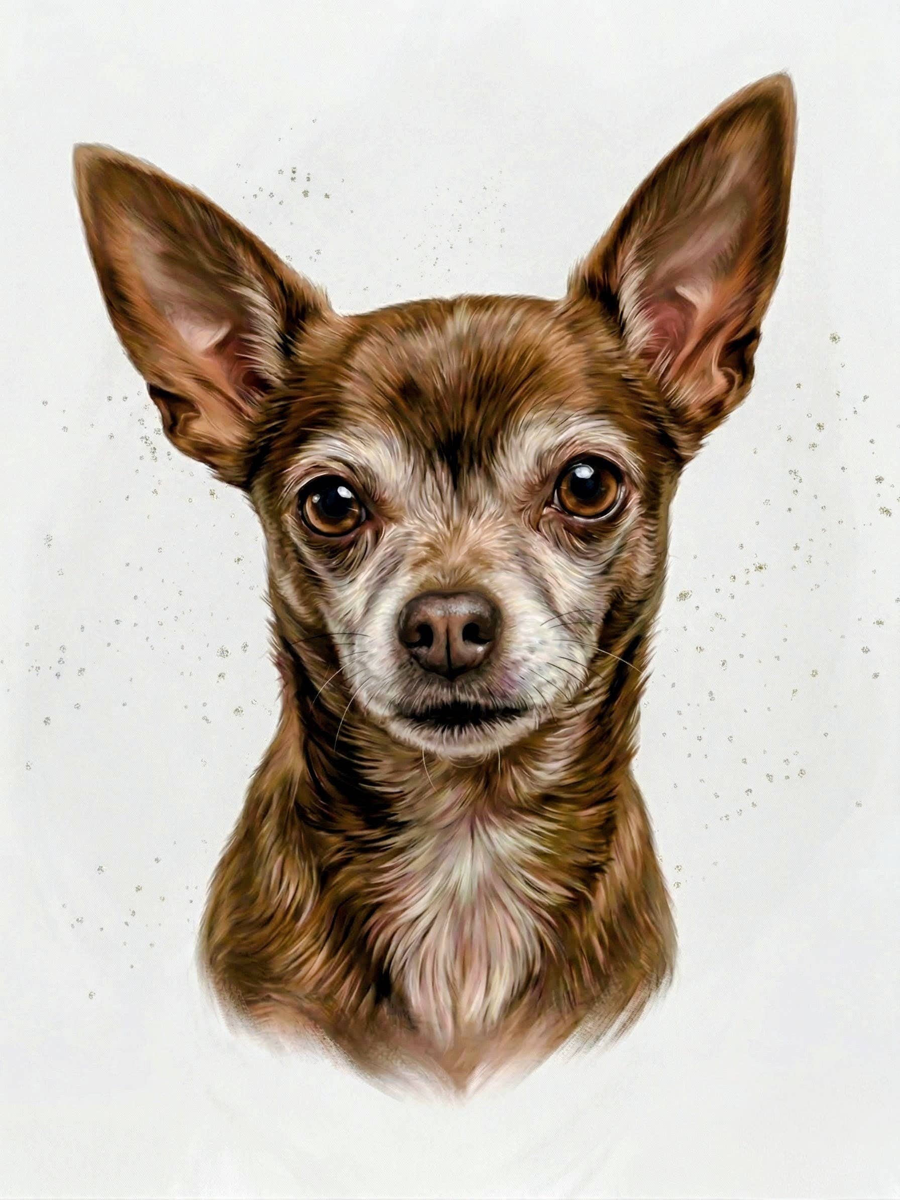 CHESTER&