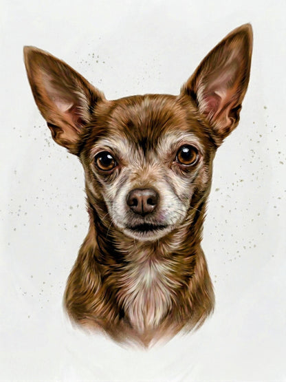 CHESTER&
