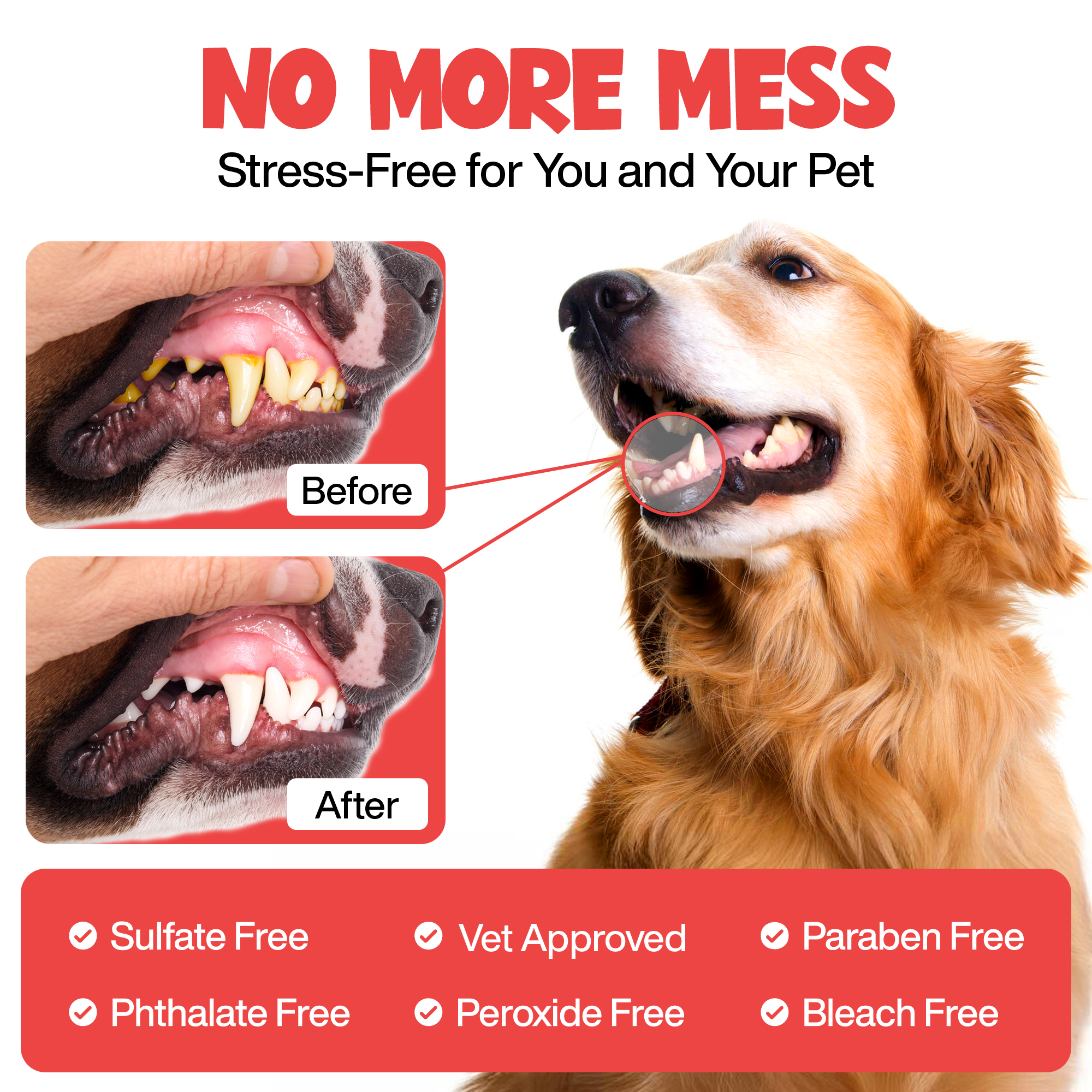 Roofus Dental Wipes | Fragrance Free | 60ct